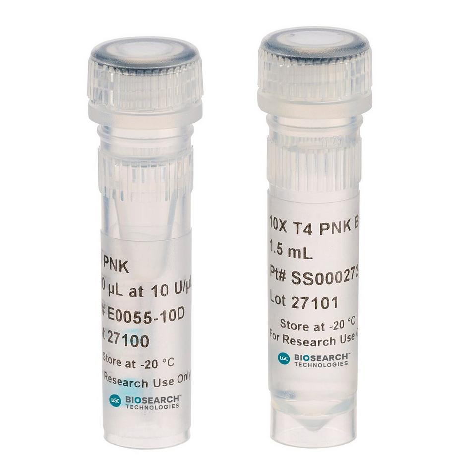T4 Polynucleotide Kinase, Cloned Kit, 10 U/µL, 3,000 U